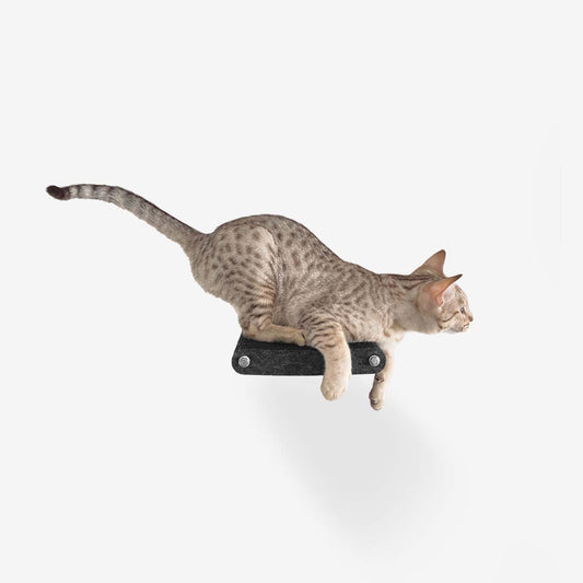 Gatificação Vertical – A Importância de um Playground para Gatos