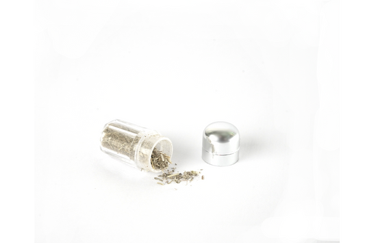 Catnip – A Erva de Gatos