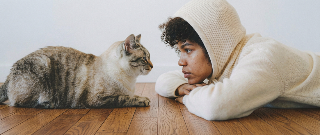 Memória afetiva: quanto tempo um gato se lembra de uma pessoa?