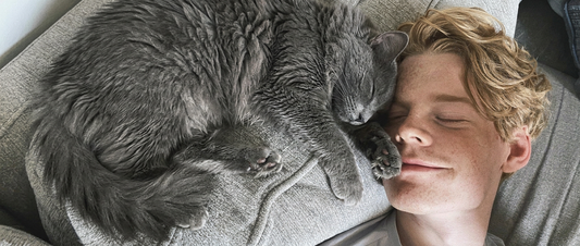 Por que os gatos escolhem uma pessoa favorita?