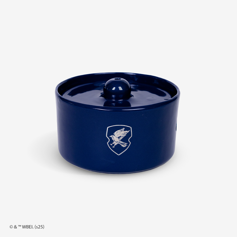 fonte de água corvinal