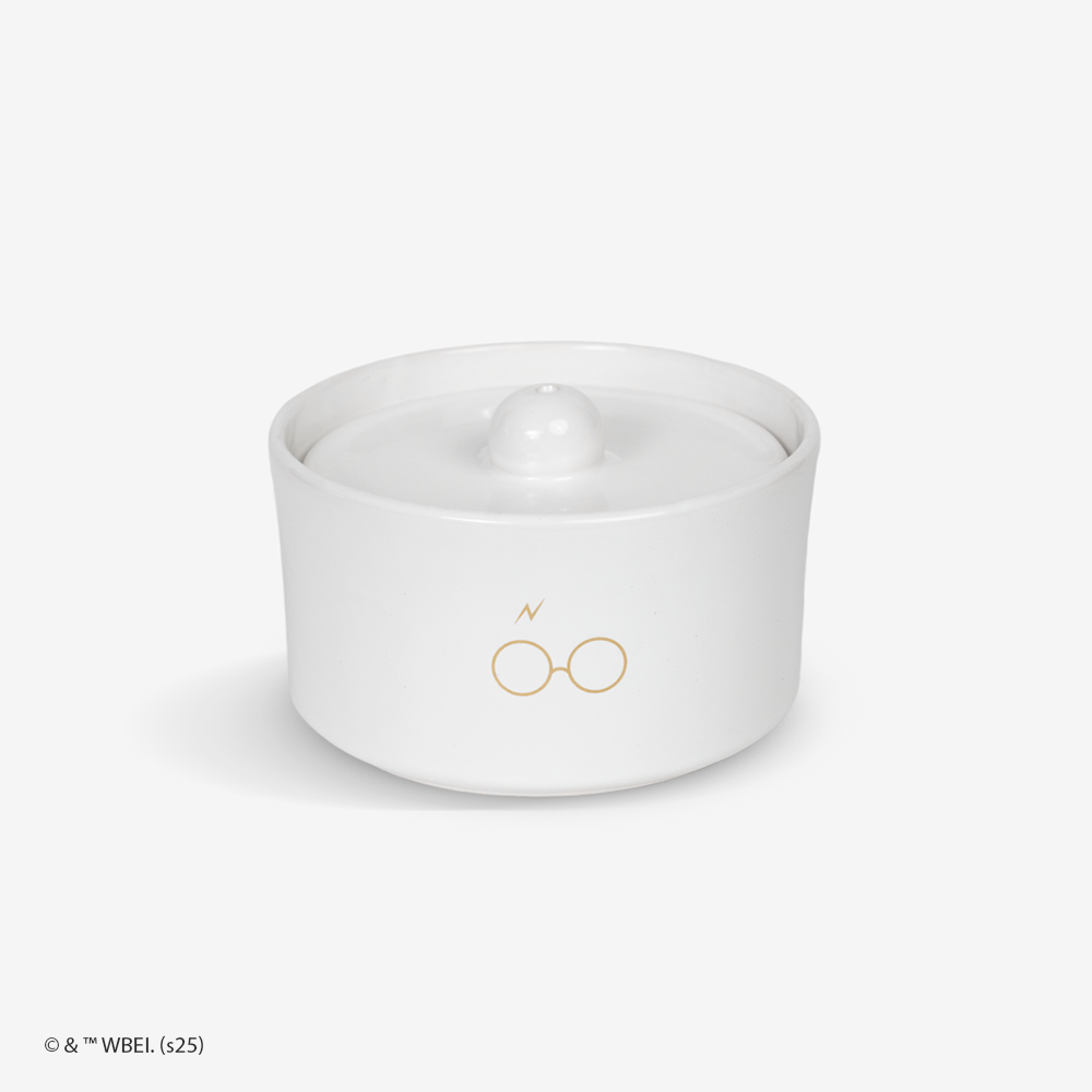 fonte de água harry potter