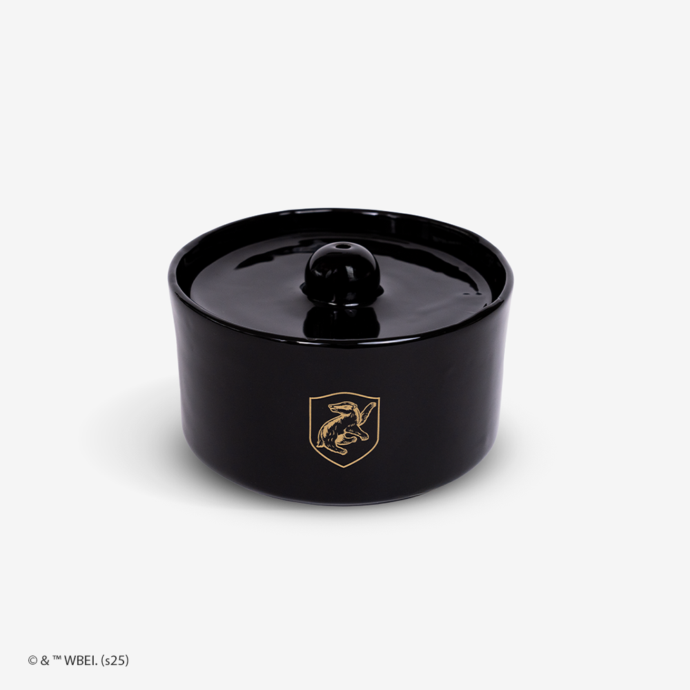 Harry Potter - Fonte de Água