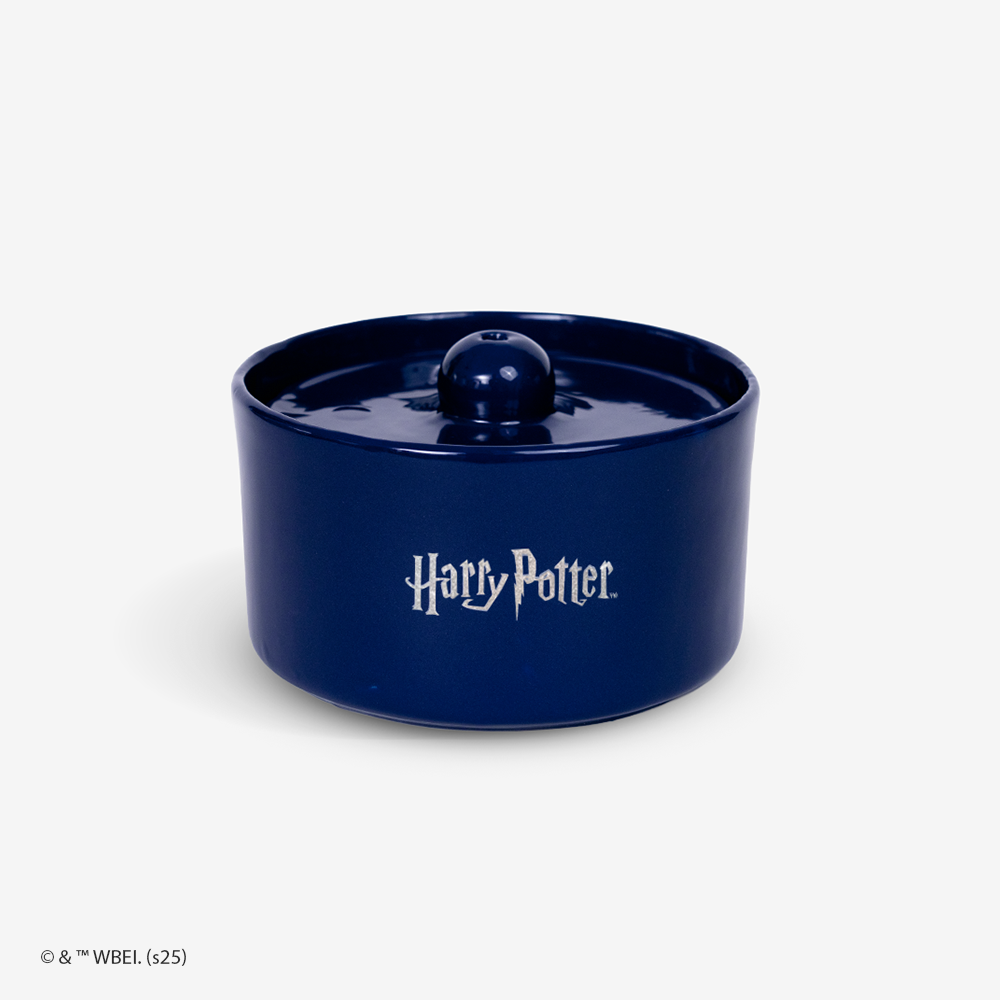 Harry Potter - Fonte de Água