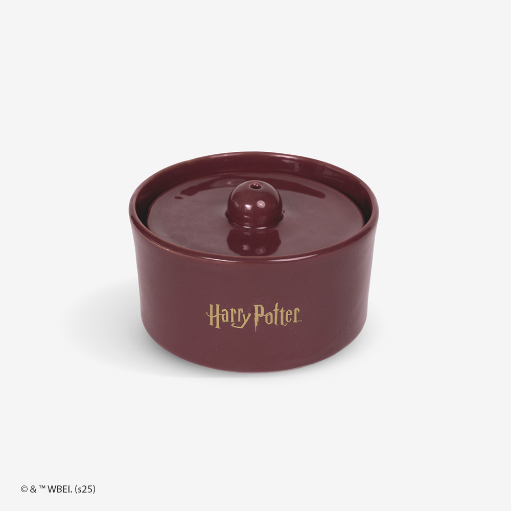 Harry Potter - Fonte de Água