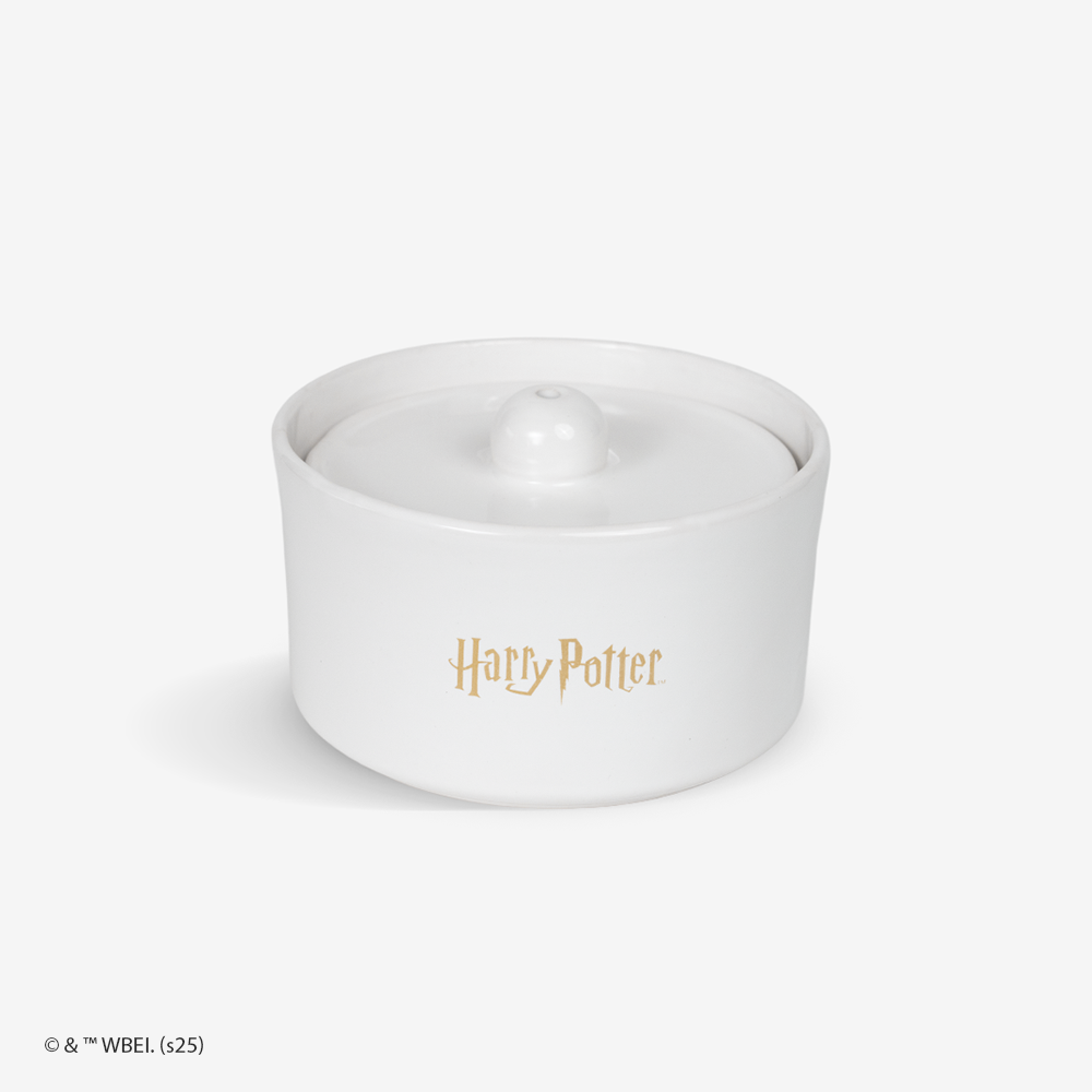 Harry Potter - Fonte de Água