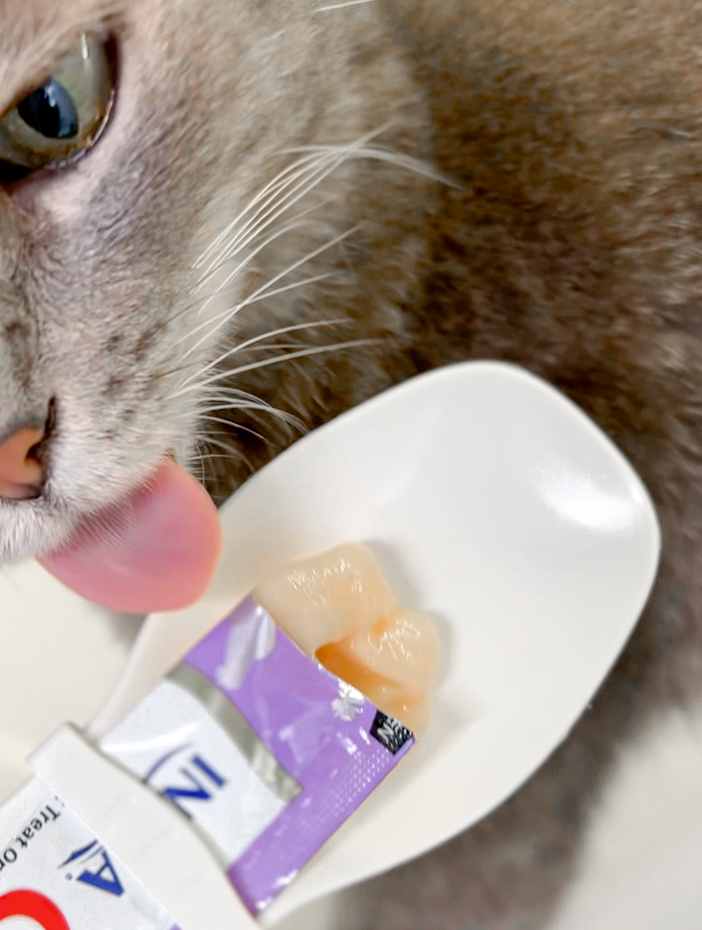 BANNER MOBILE HOME - CAT SPOON 5.png__PID:bc2f9042-6bbd-4bb5-b440-0fce8ec4dda0
