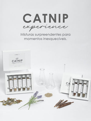 Catnip Experience