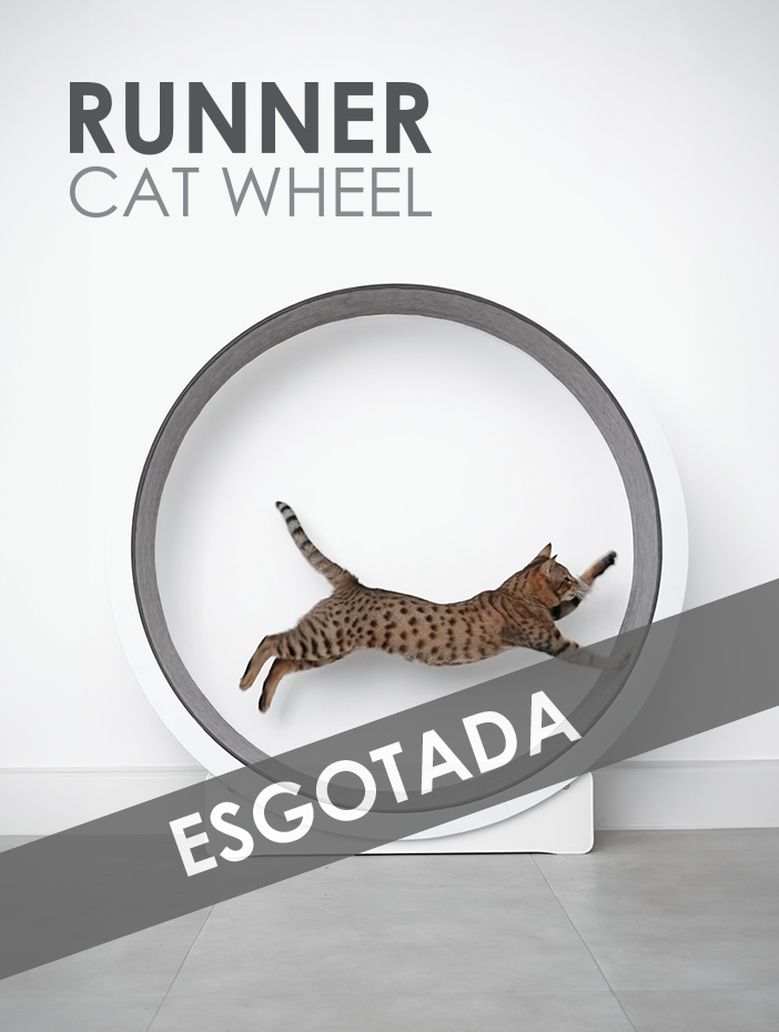 Roda Ergonômica para Gatos Runner Cat Wheel – Woolie