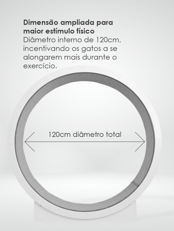 Roda Ergonômica para Gatos - RUNNER Cat Wheel – Woolie