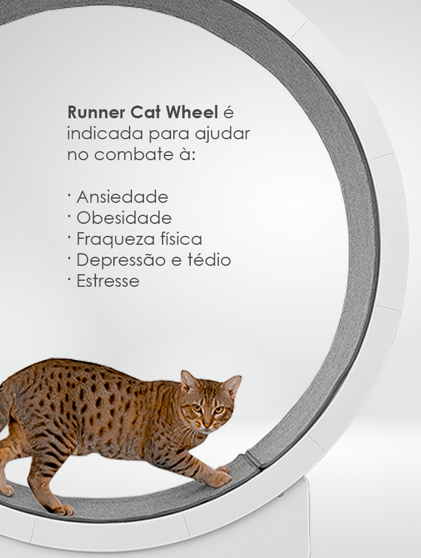Roda Ergonômica para Gatos - RUNNER Cat Wheel – Woolie