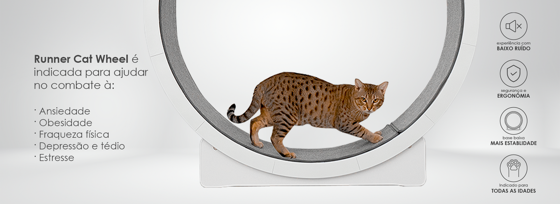 Roda Ergonômica para Gatos - RUNNER Cat Wheel – Woolie