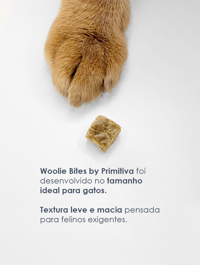 Woolie Bites: lançamento Woolie Bites by Primitiva