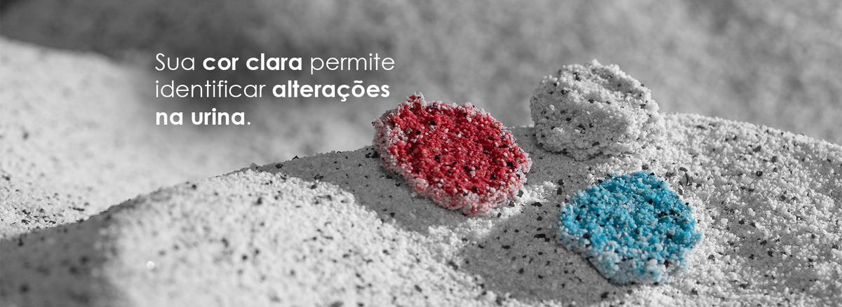 Sua cor clara permite identificar alterações na urina