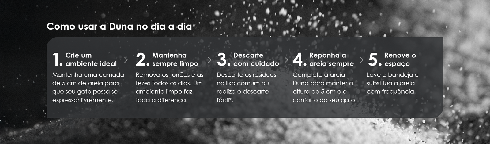 Como usar a Duna no dia a dia: crie um ambiente ideal, mantenha sempre limpo, descarte com cuidado, reponha a areia sempre e renove o espaço