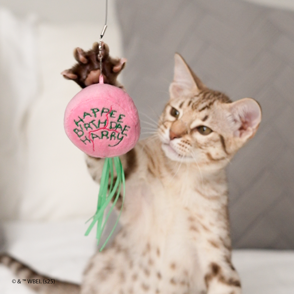 Brinquedo com Catnip - Happee Birthdae Harry