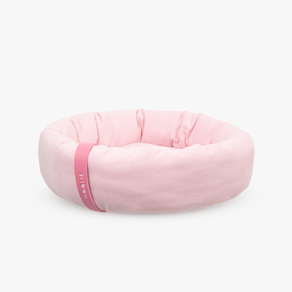 rosa  lollipop
