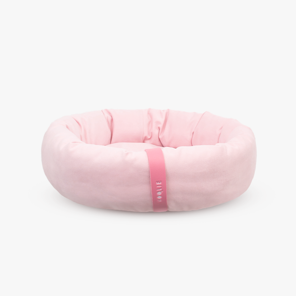rosa  lollipop