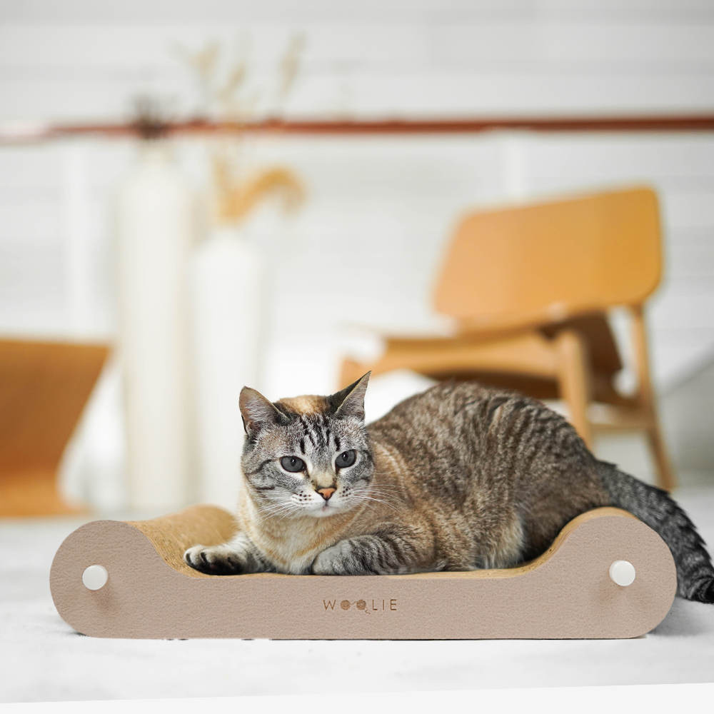 Arranhador para Gatos LOUNGE - Fendi