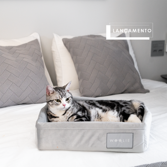 Cama Spot Lush - Cinza