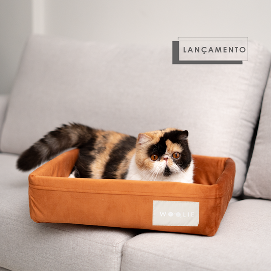 Cama Spot Lush - Corten