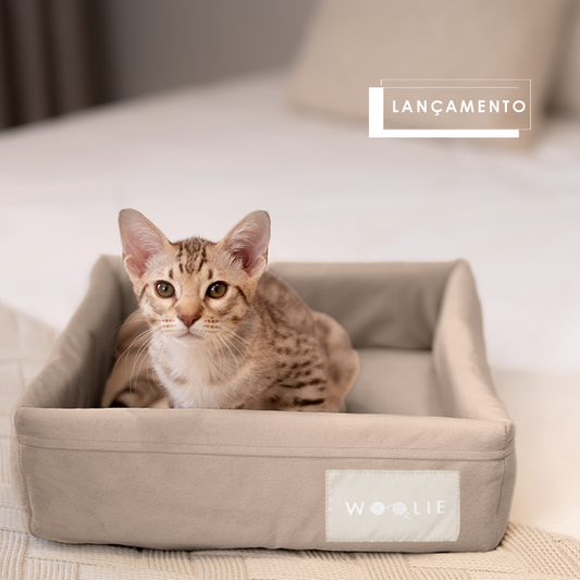 Cama Spot Lush - Fendi