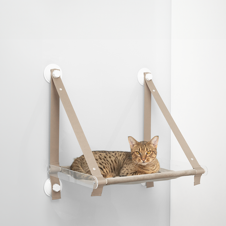 loft plus