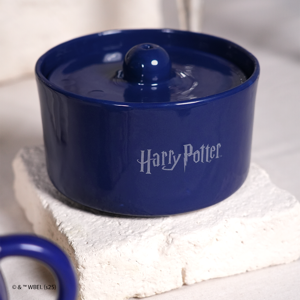 fonte de água corvinal