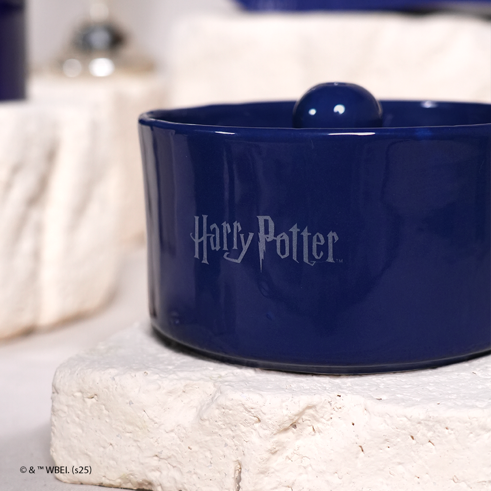 fonte de água corvinal