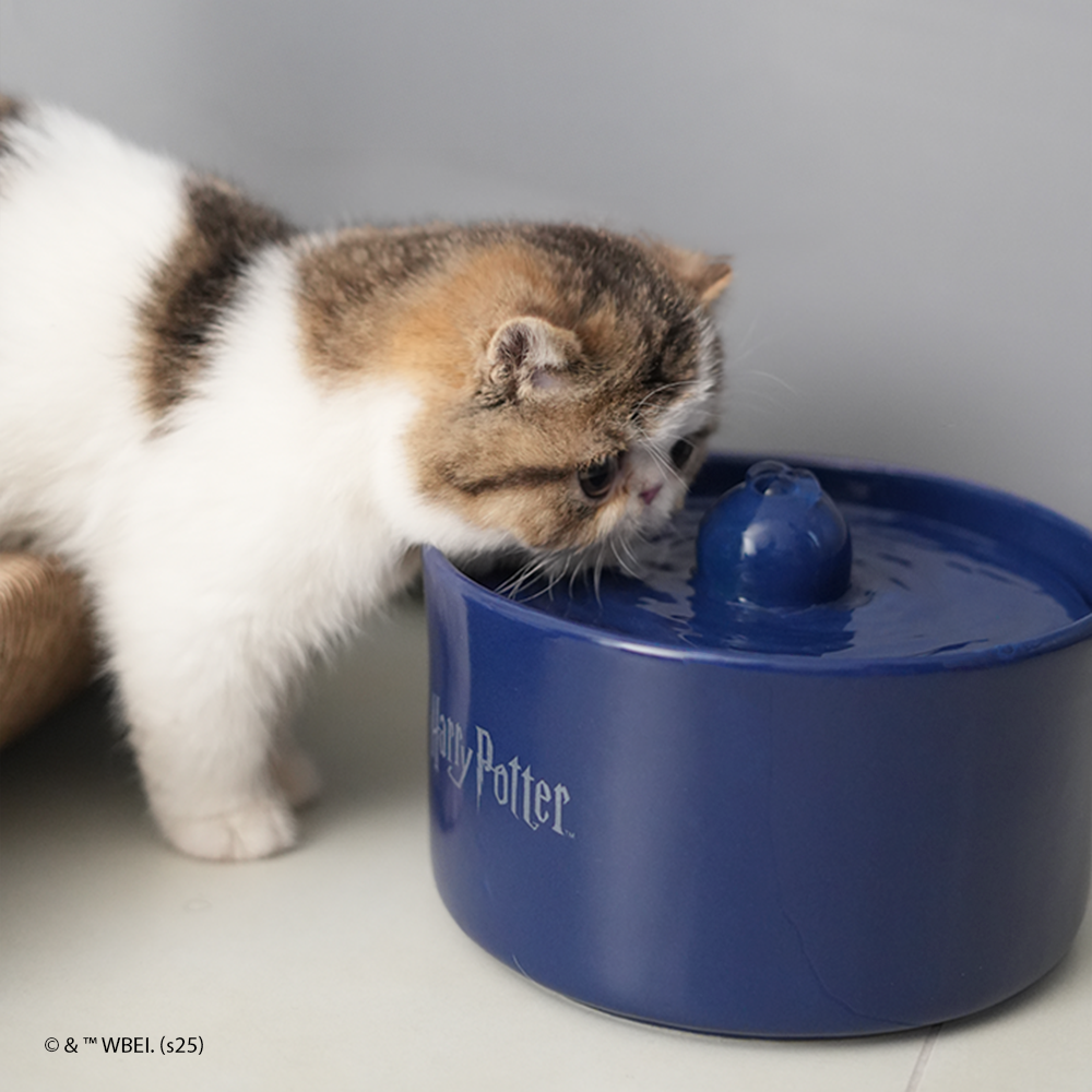 fonte de água corvinal