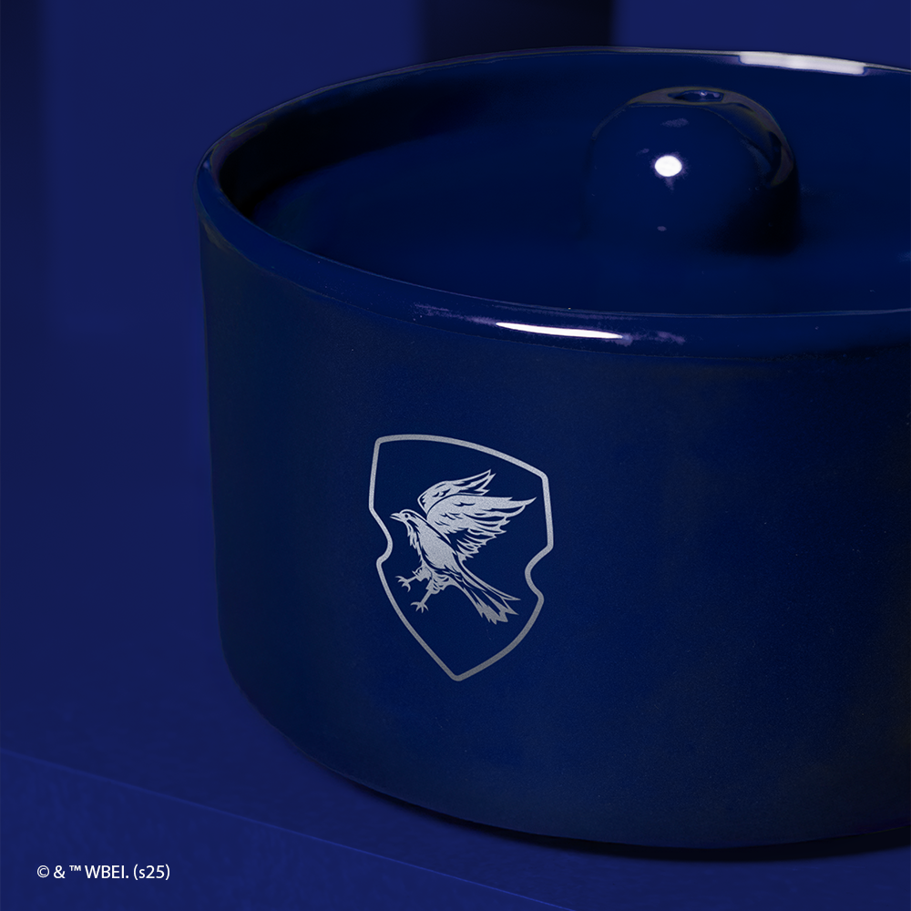 fonte de água corvinal