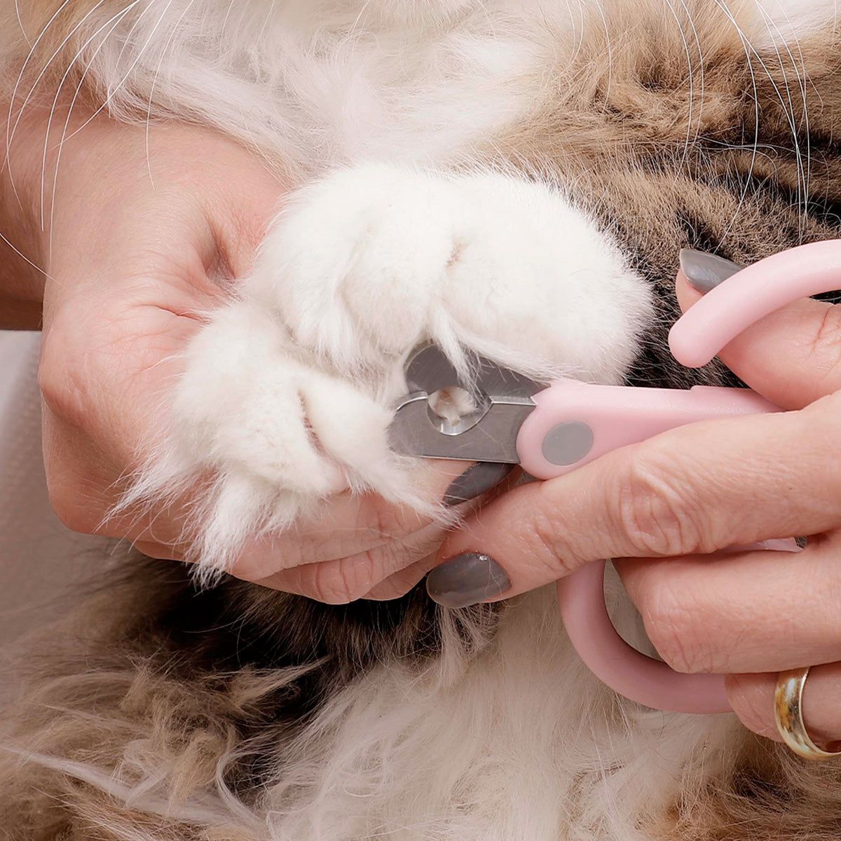 Cortador de Unhas Clip