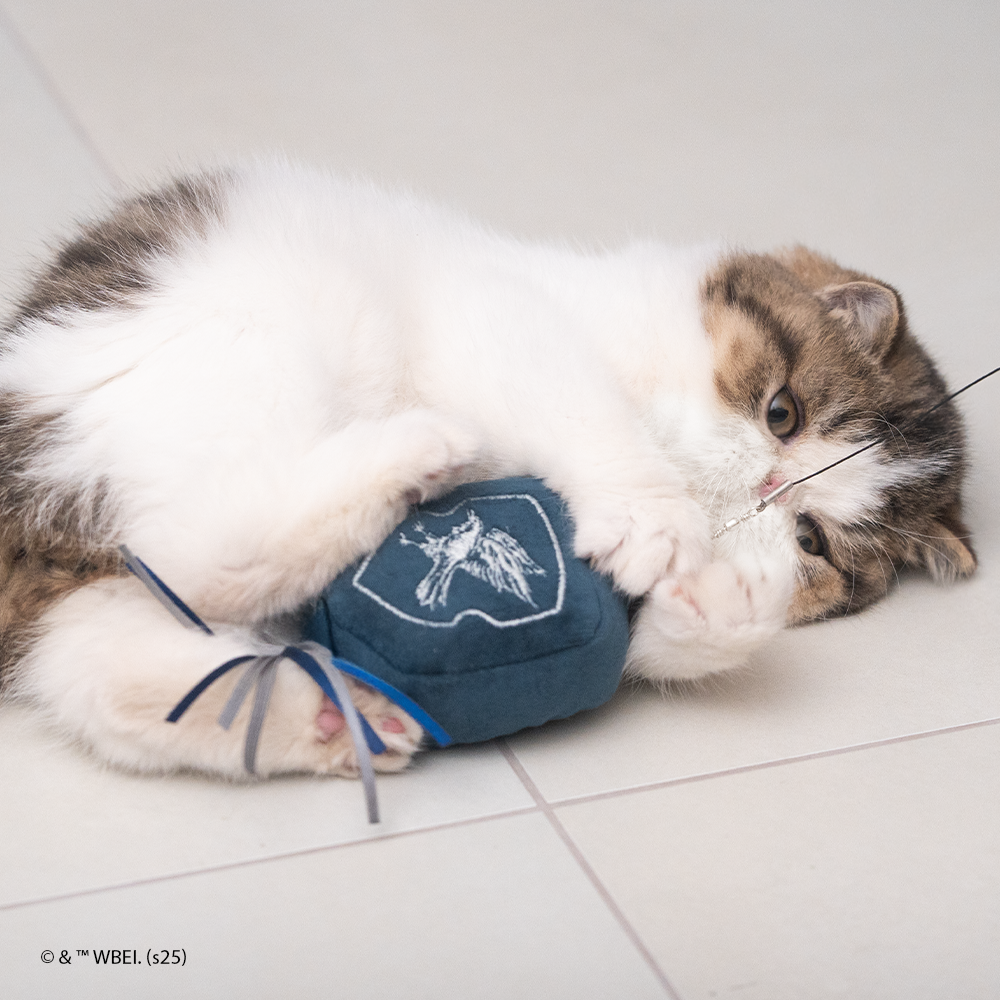 Corvinal - Brinquedo com Catnip