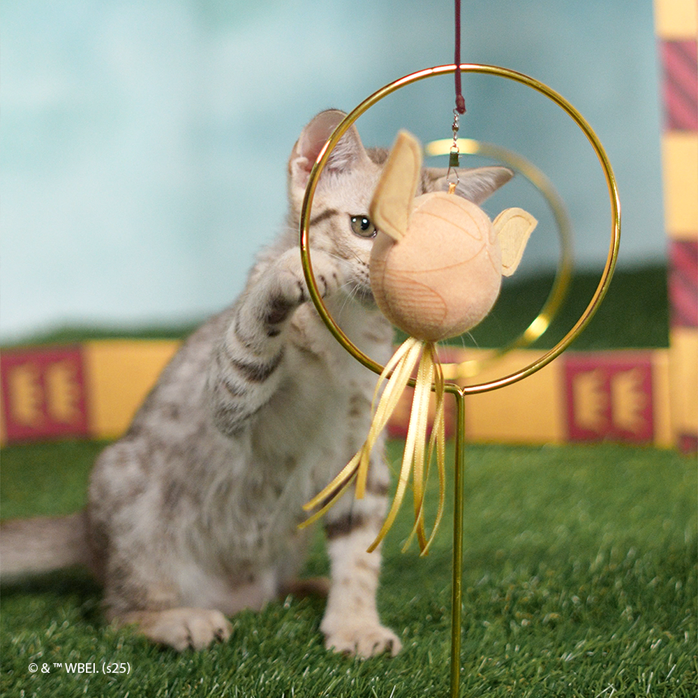 HP - Pomo de Ouro com Catnip