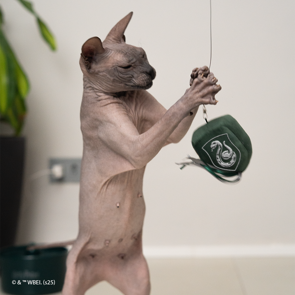 Sonserina - Brinquedo com Catnip