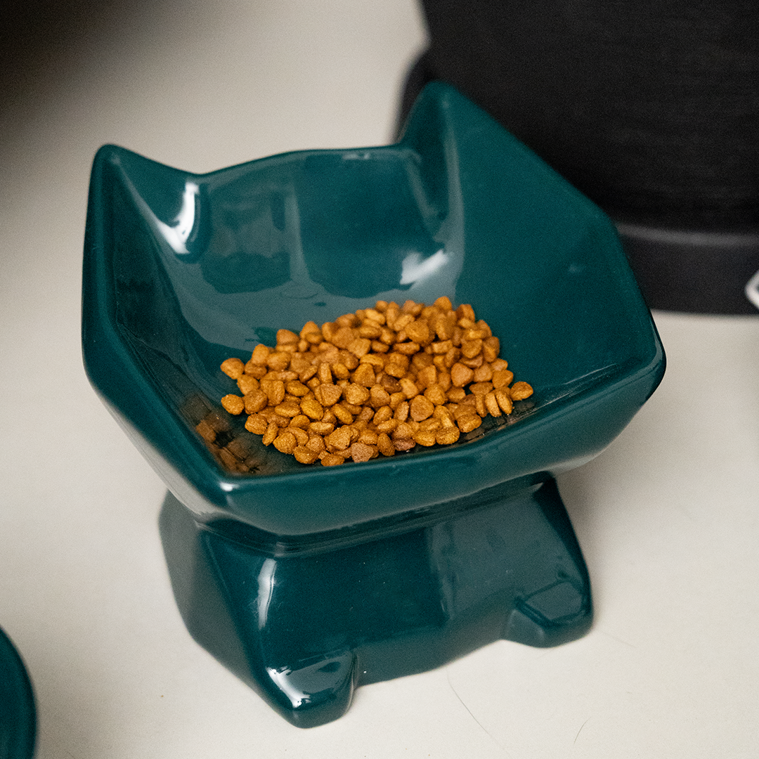 Outlet - Comedouro GEO