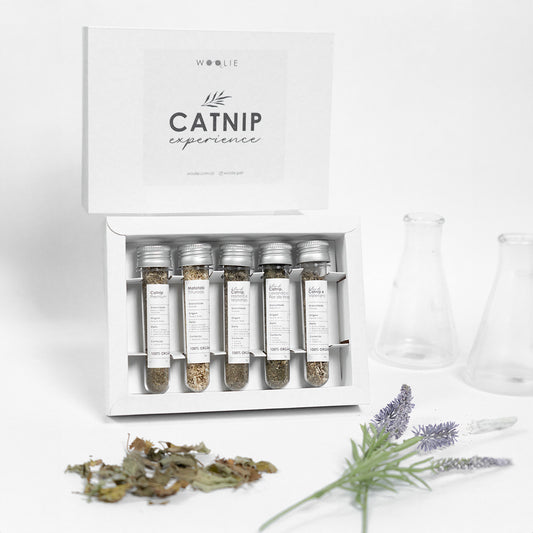 Catnip Experience - Gran Menu