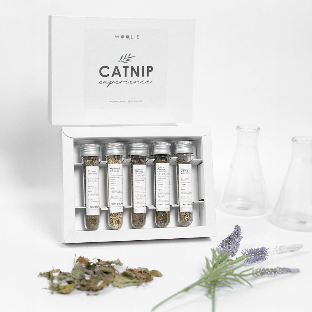 catnip e matatabi