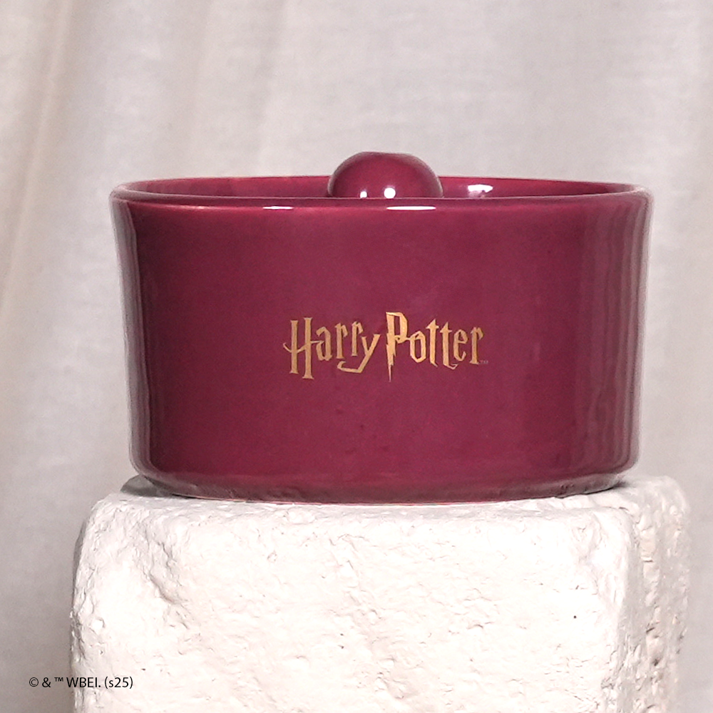 fonte de água grifinória