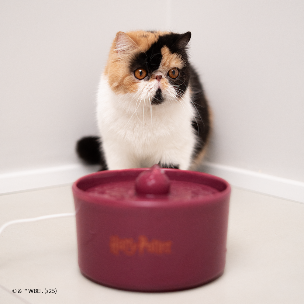 fonte de água grifinória