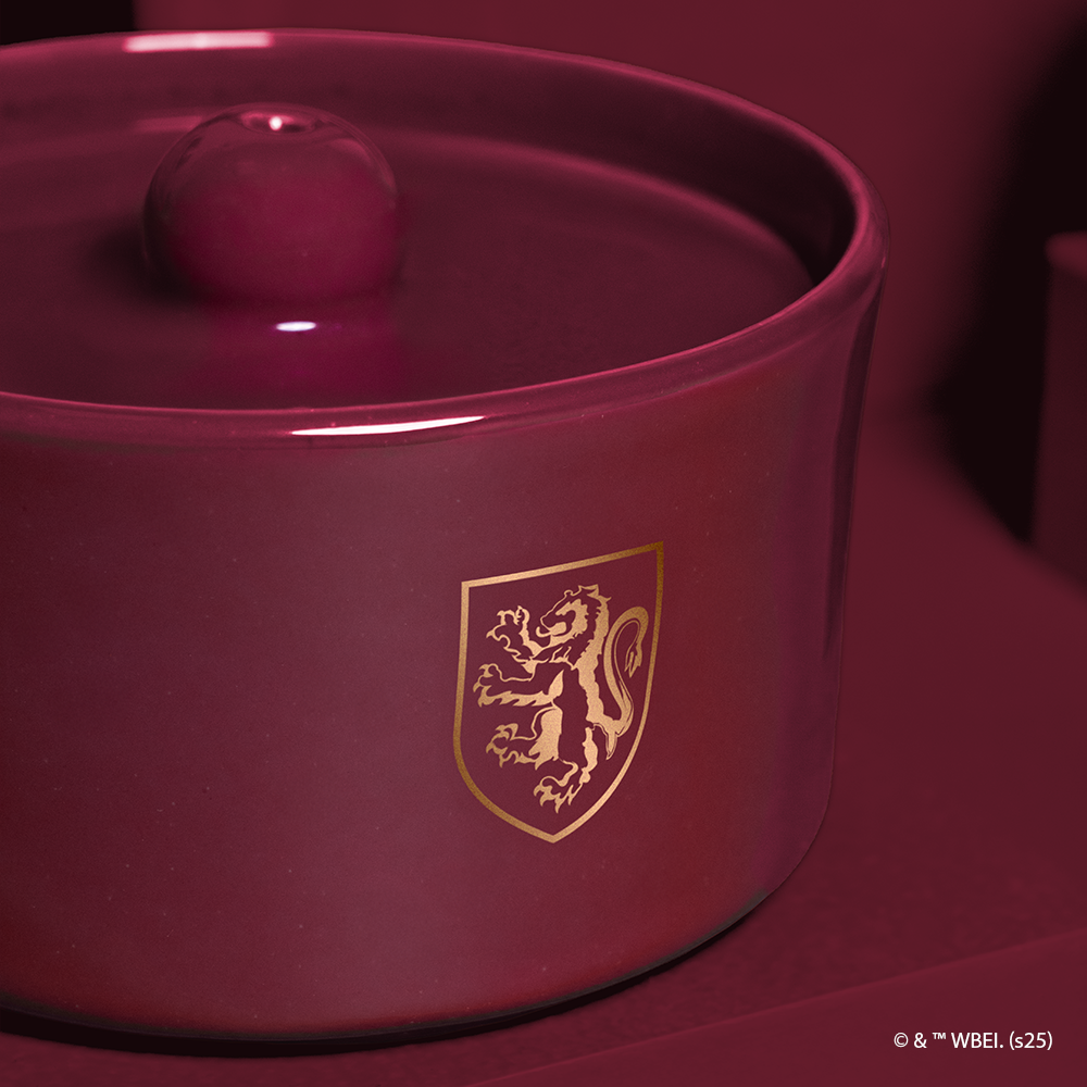 fonte de água grifinória