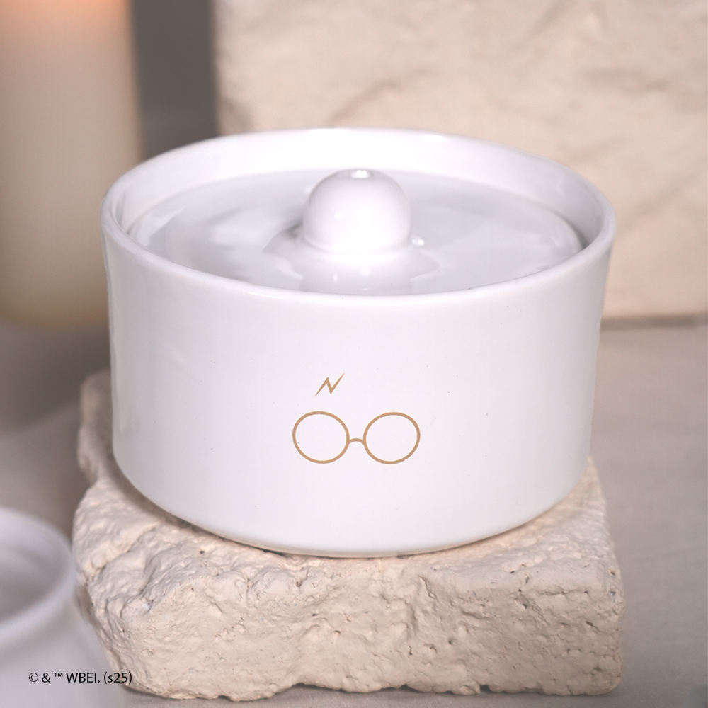 fonte de água harry potter