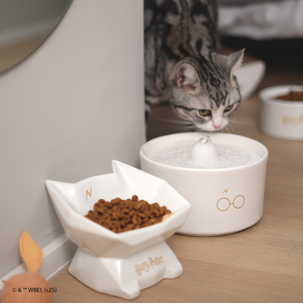 fonte de água harry potter