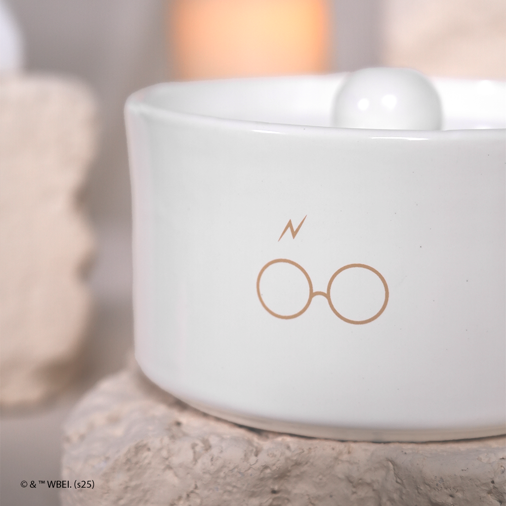 fonte de água harry potter