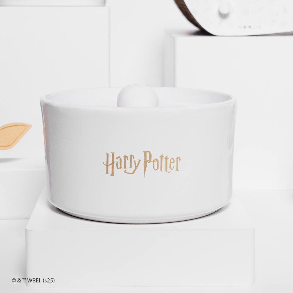 fonte de água harry potter