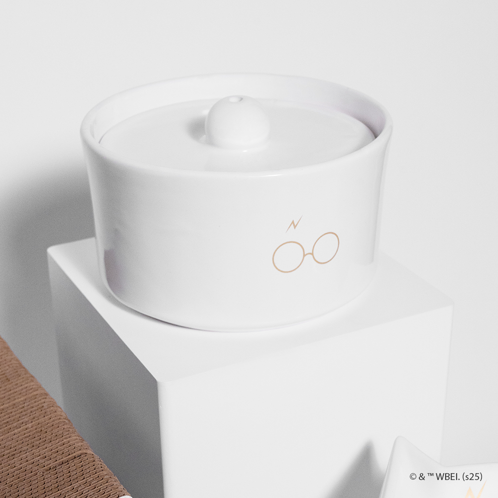 fonte de água harry potter