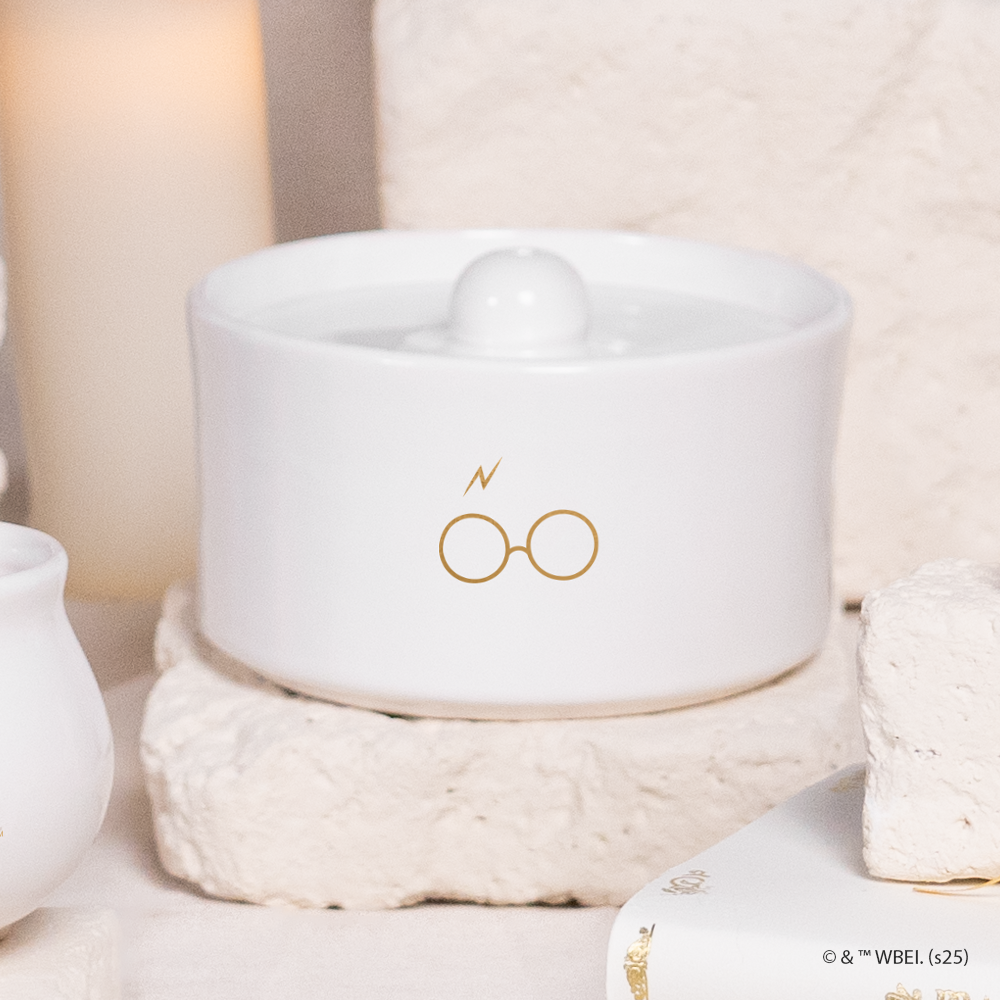 Harry Potter - Fonte de Água