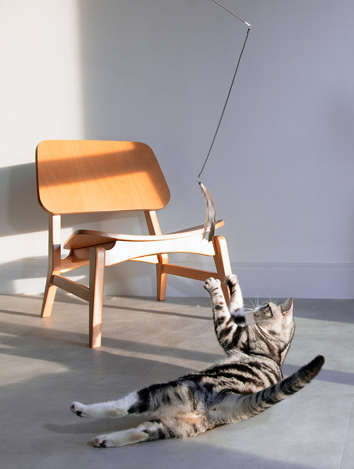 brinquedo com pena para gatos
