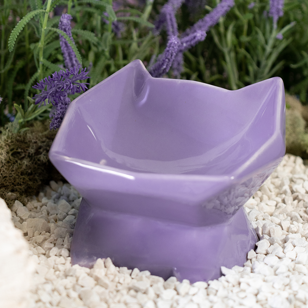 lavanda