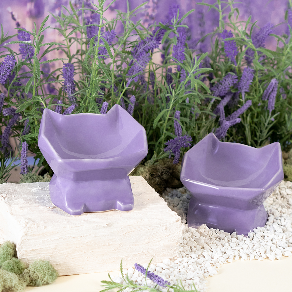 lavanda